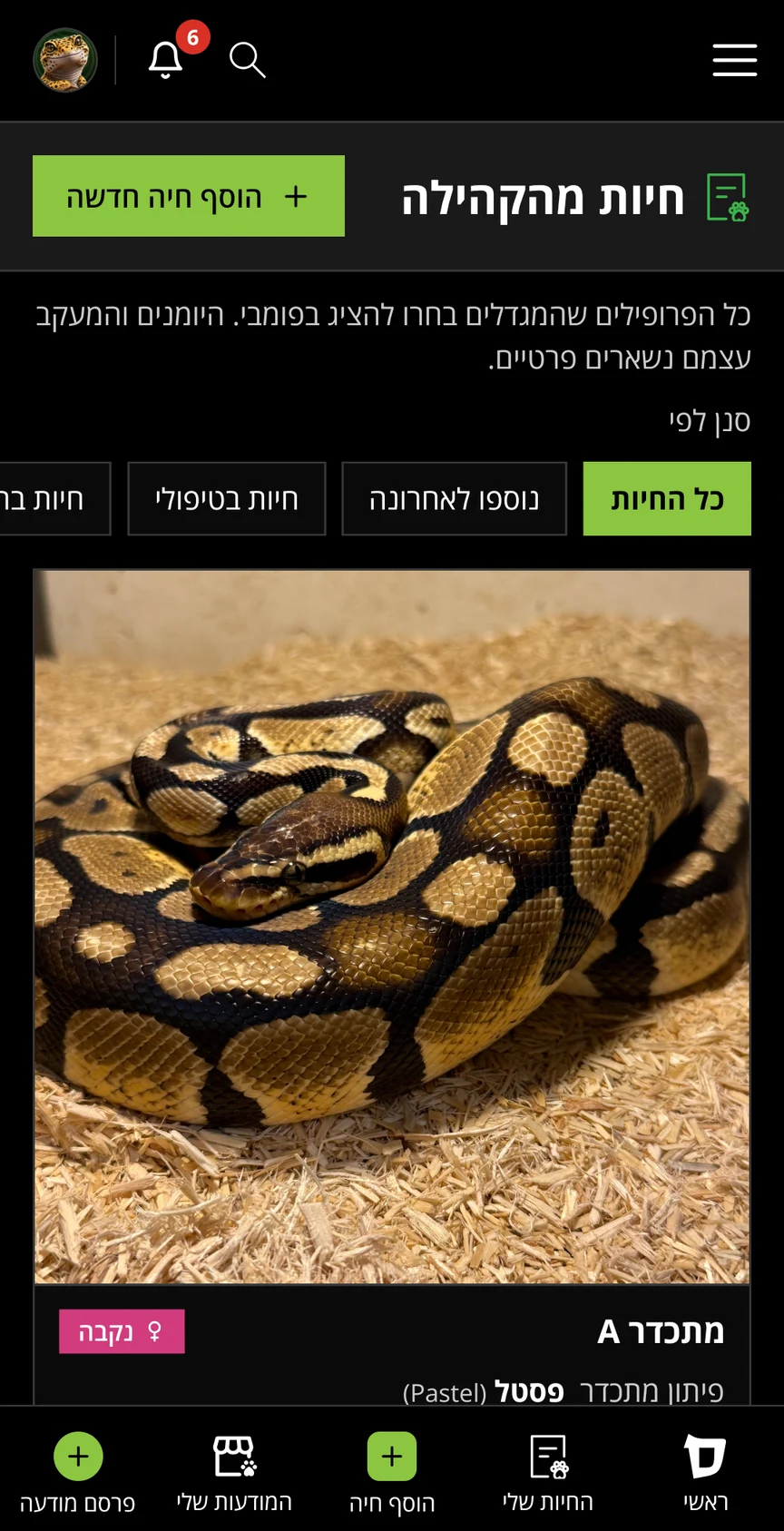קהילת המגדלים