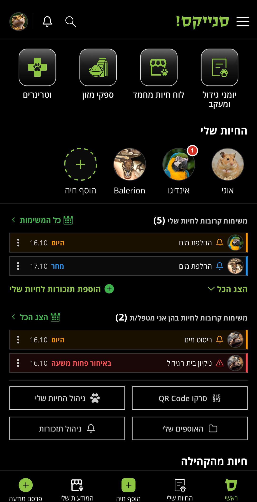 מסך הבית באפליקציית סנייקס! במצב כהה