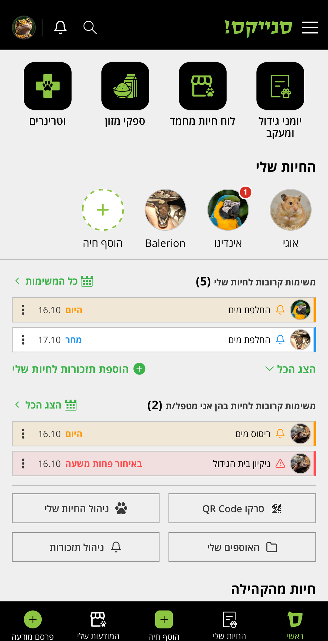 מסך הבית באפליקציית סנייקס! במצב בהיר