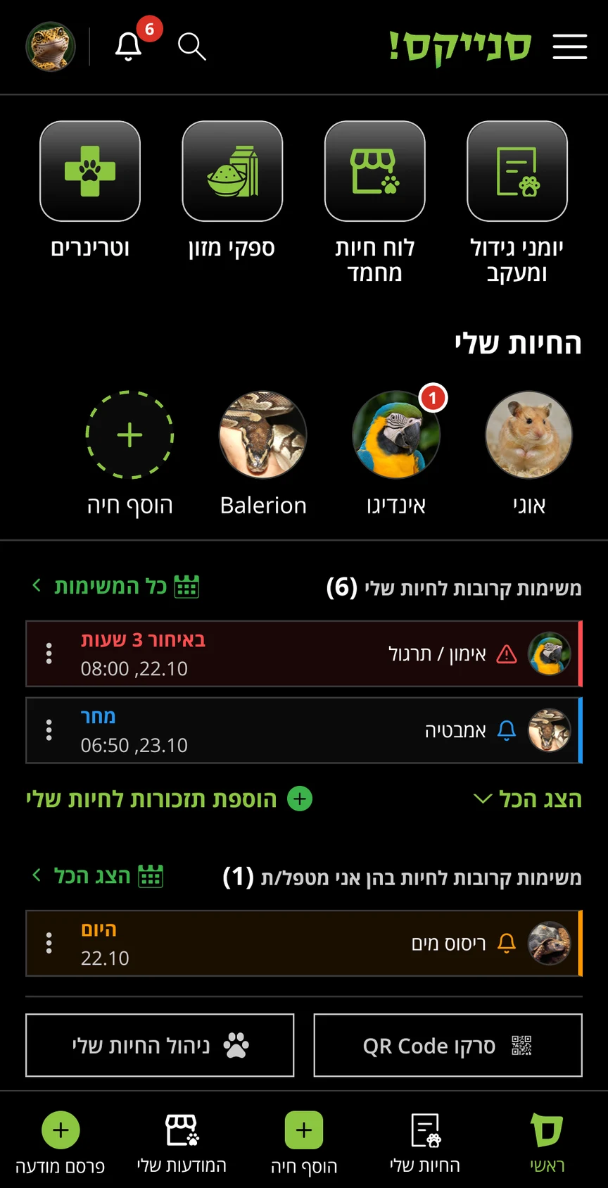 מסך הבית