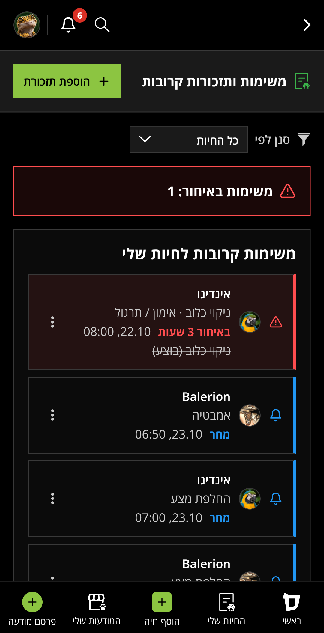 תזכורות לטיפול