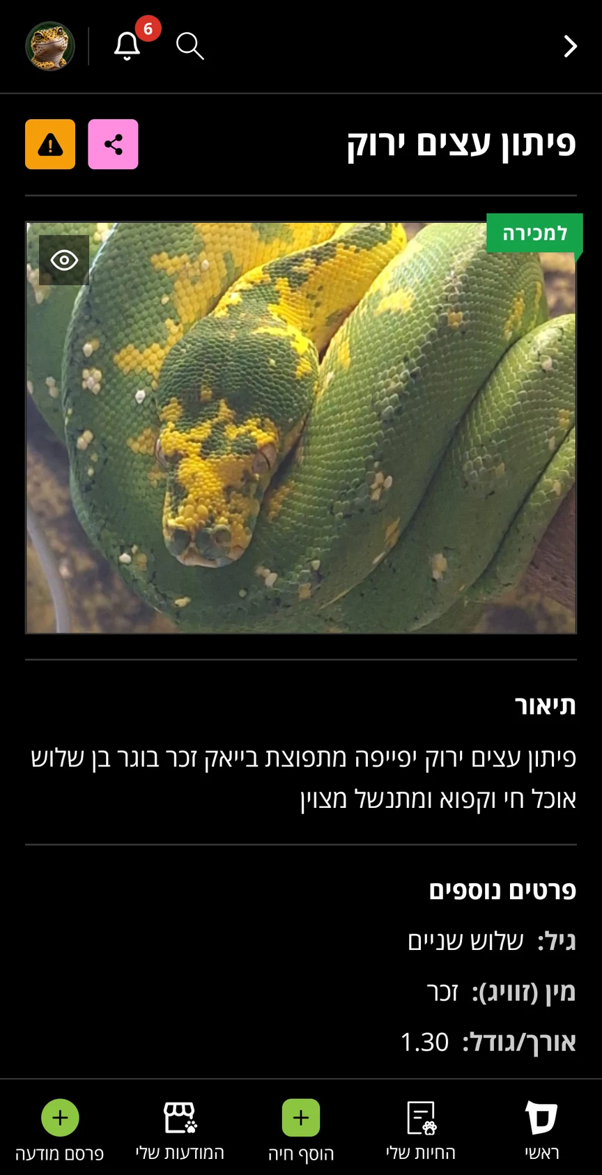 פרטי מודעה בלוח חיות המחמד