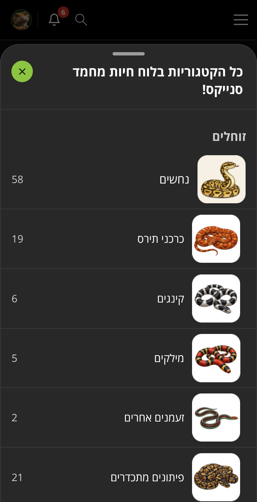 חלונית כל הקטגוריות בלוח חיות מחמד סנייקס!