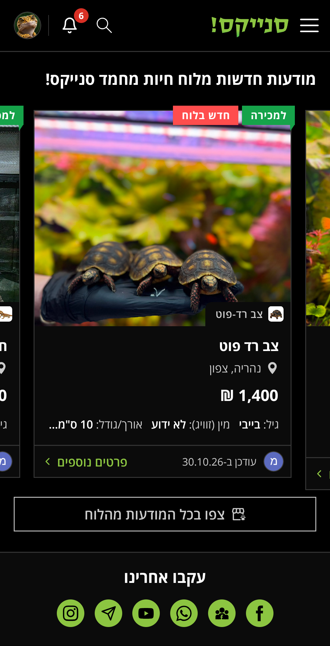 מסך מודעות חדשות מלוח חיות מחמד סנייקס! באפליקציה