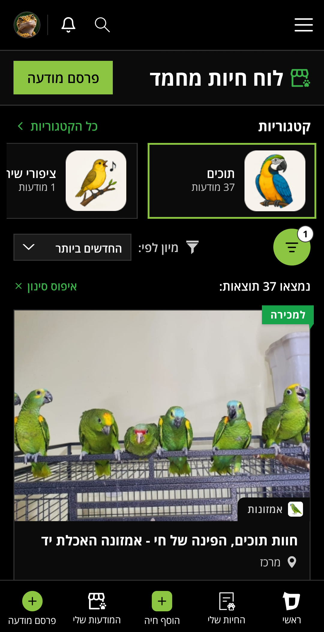 לוח חיות מחמד — תוכים