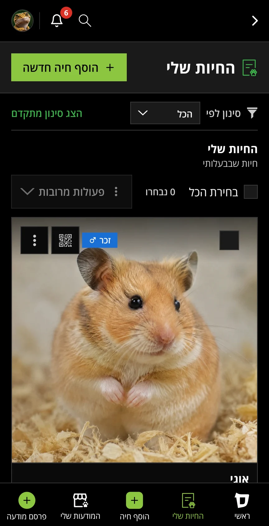 החיות שלי